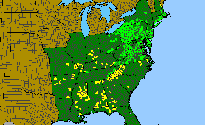 The range of Lilium superbum